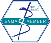 Logo BVMA